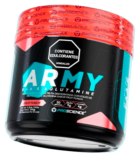 ARMY 30 SERV