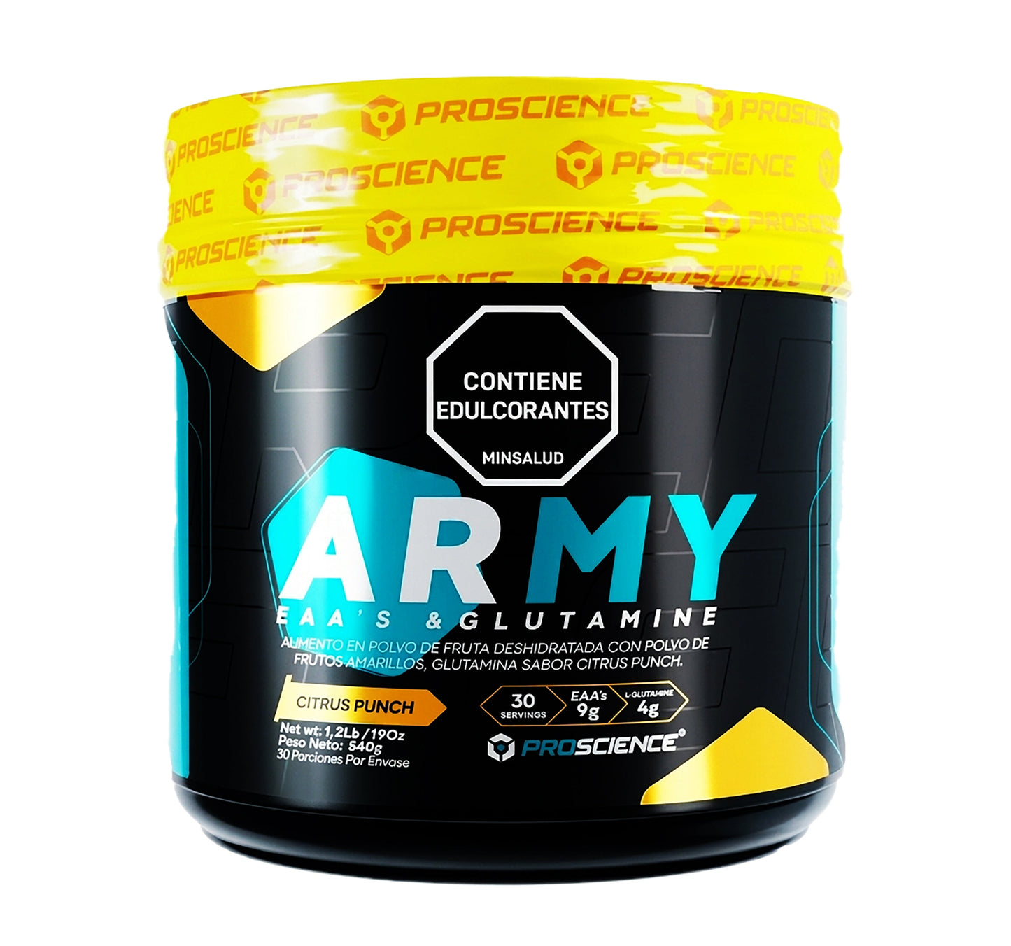 Army 30 Serv