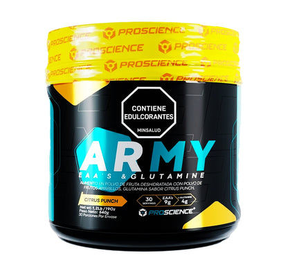 Army 30 Serv