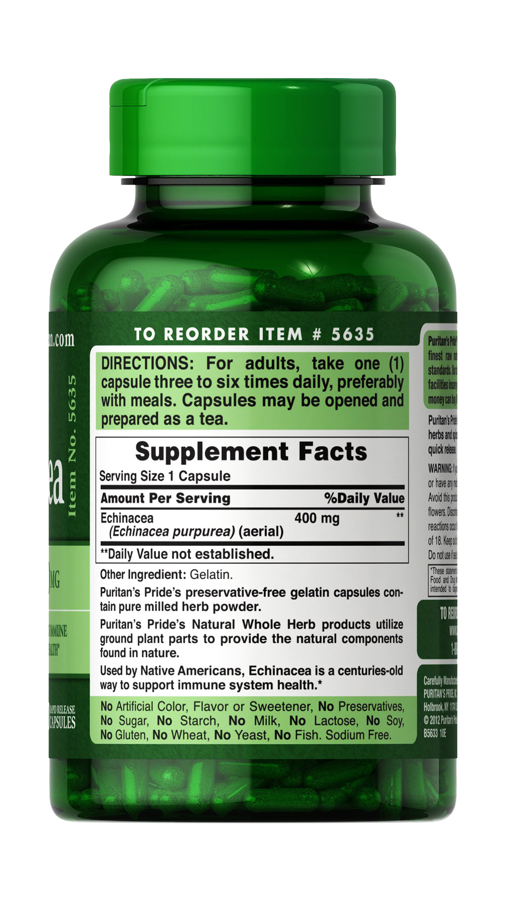 Echinacea